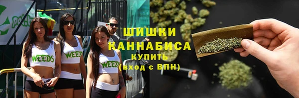 сатива Нефтегорск