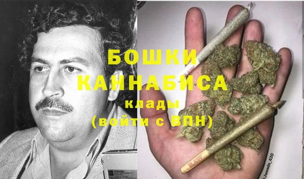 сатива Нефтегорск