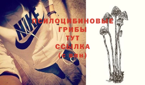 сатива Нефтегорск