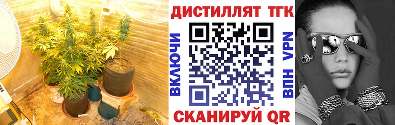 даркнет телеграм  где купить наркотик  МЕГА рабочий сайт  Опочка  ТГК вейп с тгк 